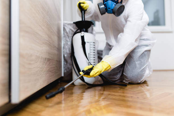 Best Ant Control Services  in Willow Oak, FL