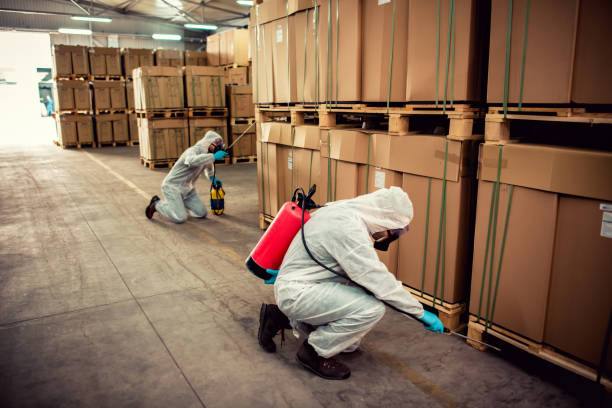 Best Pest Control Near Me  in Willow Oak, FL