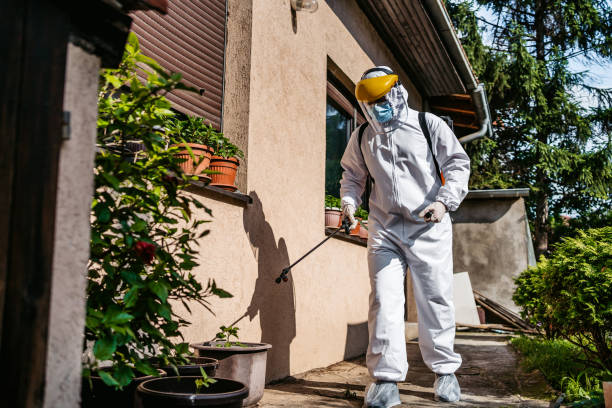 Trusted Willow Oak, FL Pest Control Experts