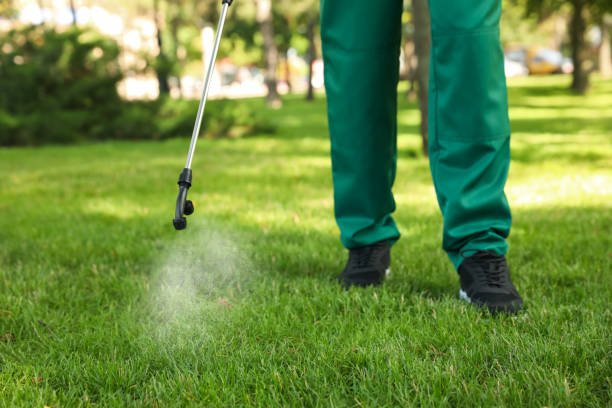 Best Bed Bug Extermination  in Willow Oak, FL