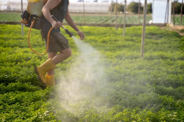 Best Best Pest Control Near Me  in Willow Oak, FL