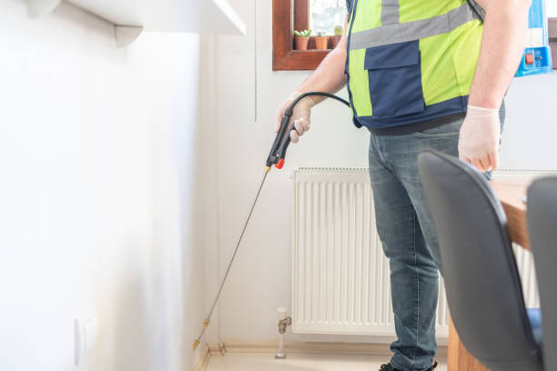 Best Pest Inspection Near Me  in Willow Oak, FL