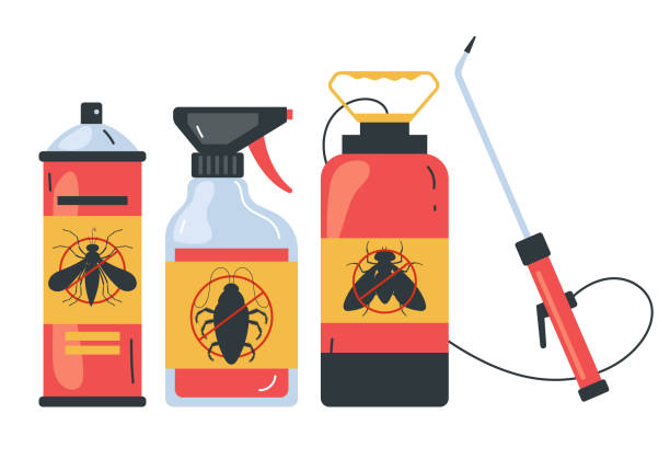 Best Termite Control Services  in Willow Oak, FL