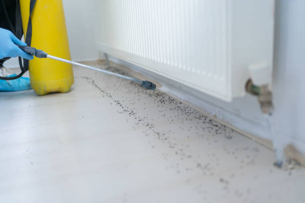 Best Cockroach Control Services  in Willow Oak, FL